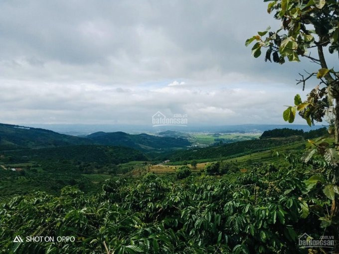 850 Triệu Có Ngay 3000m đất Nông Nghiệp Có Thể Vay Nh 2