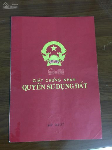 Bán 300m Thổ Cư Sổ đỏ Chính Chủ Tại Phú Hạ Xã Minh Phú Sóc Sơn Hà Nôi Giá Cho Ae đầu Tư 3,2tr 1