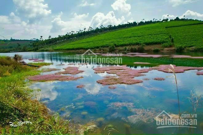 Bán Gấp Lô đất View Hồ Sổ Hồng Chính Chủ 2