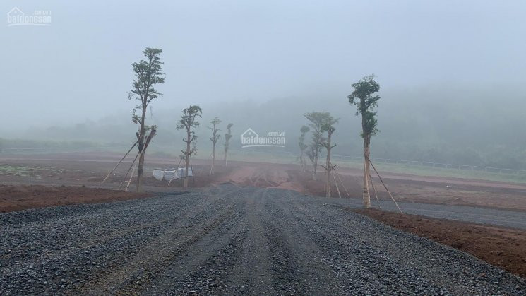 Bán Gấp Lô đất View Hồ Sổ Hồng Chính Chủ 3