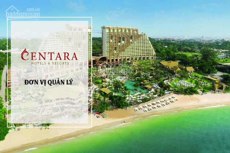 Bán Liền Kề Vip, Căn Góc 2 Mặt Tiền Ra Biển, 166m2, Grand Bay Hạ Long 0328561111 5