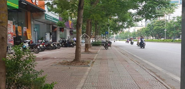 Bán Nhà 65m Mặt Phố Nguyễn Văn Cừ, đường 40m Vỉa Hè đá Bóng, Kinh Doanh & Văn Phòng đỉnh 1