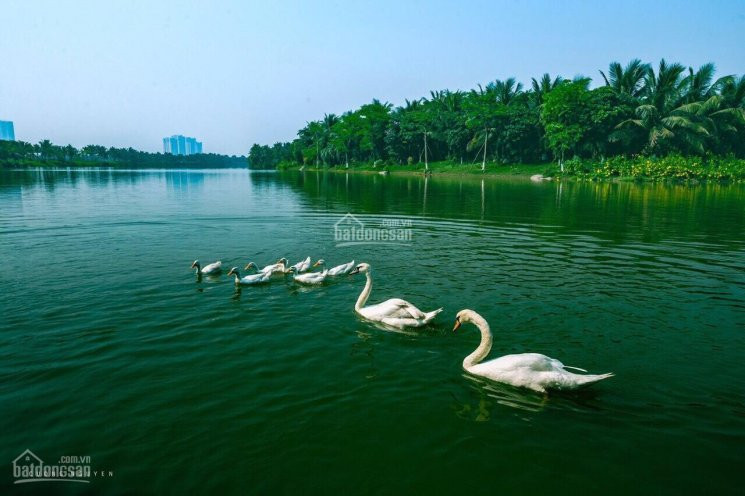 Biệt Thự đảo Ecopark - Thanh Toán Từ 63 Tỷ Nhận Nhà - Ls 0%/3 Năm - Ck 9 Tr/m2 - Pkd 0963505558 4