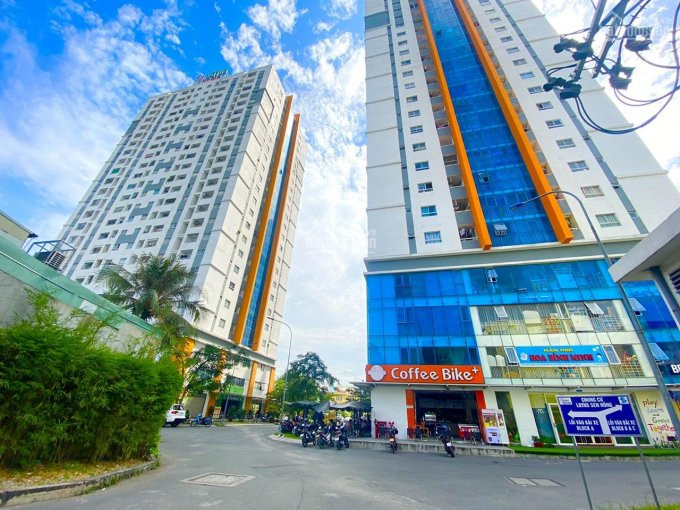 Căn 2pn (violet Tower) 50m2 Chung Cư Sen Hồng Mua đón Tết Tân Sửu 1