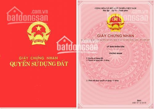 Cần Bán Biệt Thự Bùi Thiện Ngộ - Giá Sụp Hầm Mùa Dịch Lh 0941676079 1