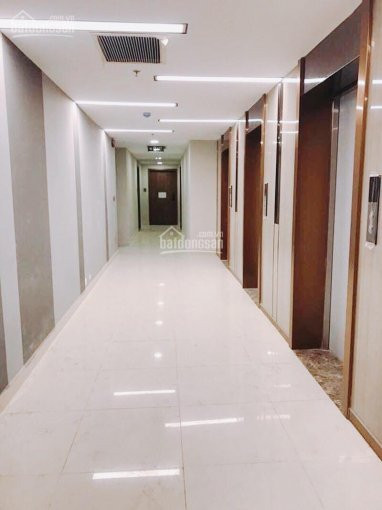 Căn Hộ 3pn 875m2 Central Tạ Quang Bửu Q8 View Hồ Bơi: Giá Tốt Nhất Hiện Nay 4,15 Tỷ: Lh 0906975715 8