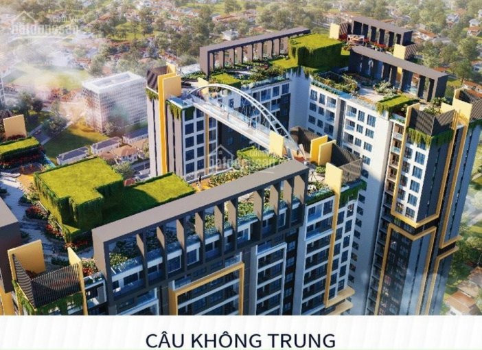 Căn Hộ Cao Cấp-hạng Sang-thủ Dầu Một- 40 Tầng 5