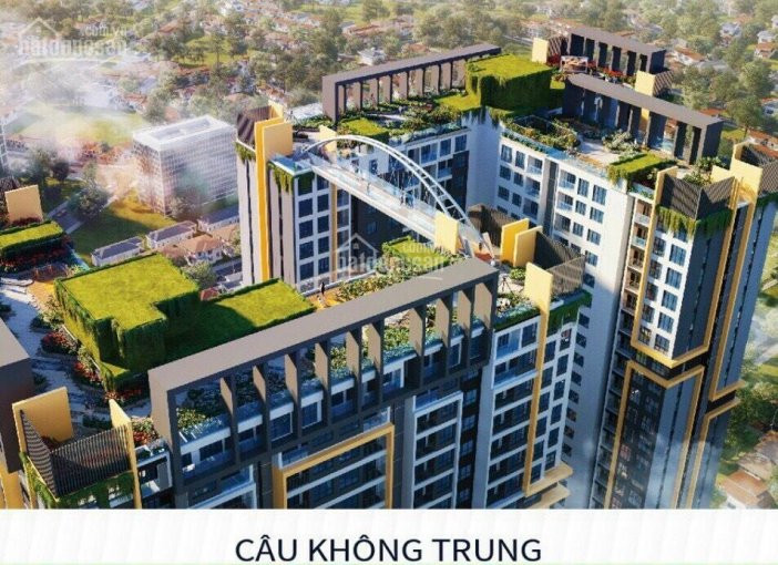 Căn Hộ Cao Cấp-hạng Sang-thủ Dầu Một- 40 Tầng 6