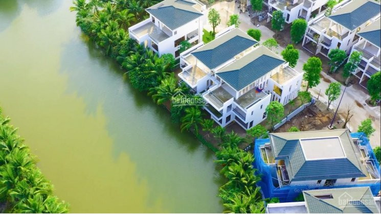 Cập Nhật Biệt Thự đảo Ecopark - Quỹ Căn 300m2 - 2000m2 + Chính Sách Mới - Lh 0918114743 1