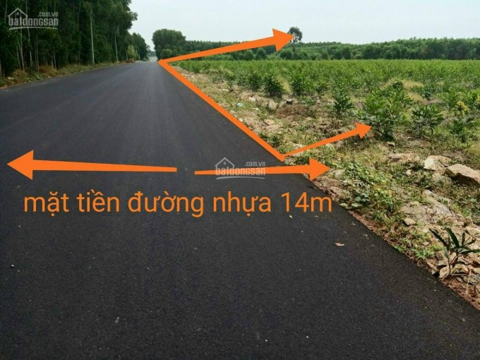 Chính Chủ Bán đất Sào ,sổ đỏ 100m Thổ Cư Dt 29x30 Giá 1,9tr/m2 Bám đường Nhựa 14m 2