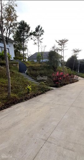 Chính Chủ Bán Nhanh 1ha Khu Nghỉ Dưỡng Mary Land, Tại Xóm Muỗi, Yên Bài, Ba Vì, Hà Nội đang Kinh Doanh Tốt 4