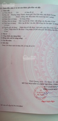 Chính Chủ Bán Nhanh 2 Lô Hiệp Thành Xây Biệt Thự Phía Sau Trường đại Học Bình Dương, Dân Cư Yên Tĩnh Thoáng Mát 2