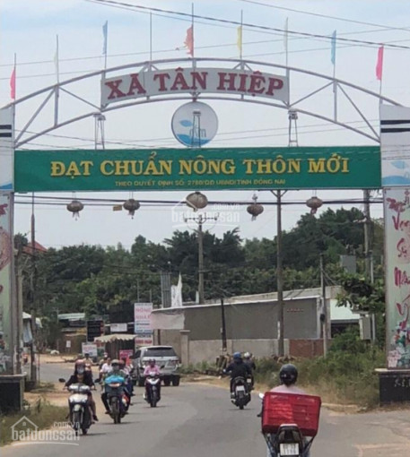 Chính Chủ Bán Nhanh 2708 M2 đất Khu Dân Cư Bàn Cơ Tân Hiệp, Long Thành, đồng Nai 3