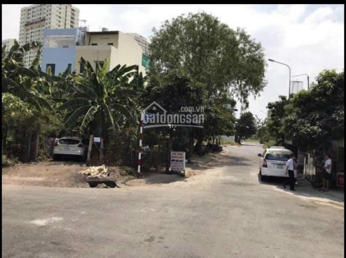 Chính Chủ Bán Nhanh Biệt Thự Khu Kiều đàm, Dt  8x22 Trệt 3 Lầu Giá 19 Tỷ 4
