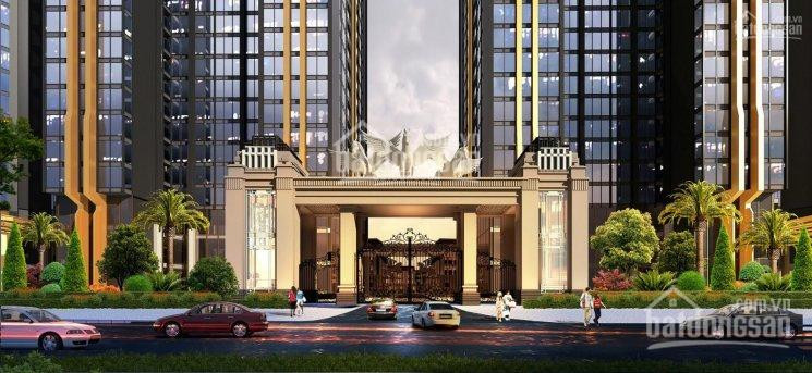 Chính Chủ Bán Nhanh Biệt Thự Liền Kề Shophouse Sunshine Wonder Villas Ciputra Hà Nội, Giá Gốc Cđt 2