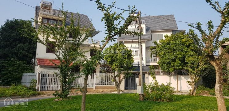 Chính Chủ Bán Nhanh Bt New House City, Km 17 đại Lộ Thăng Long, Cạnh Tt Quốc Oai Dt 195m2 - 450m2, Giá đầu Tư 3