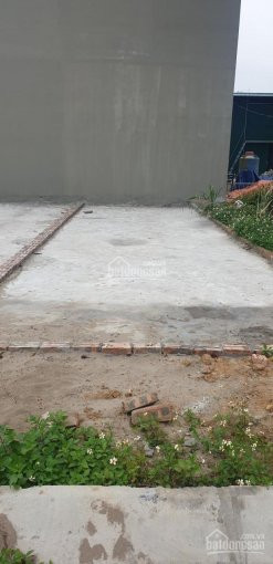 Chính Chủ Bán Nhanh đất Dịch Vụ 6,9ha Khu Vân Canh, Hoài đức Dt 45,5m đường ô Tô Qua Nhà Giá 62tr/m 1