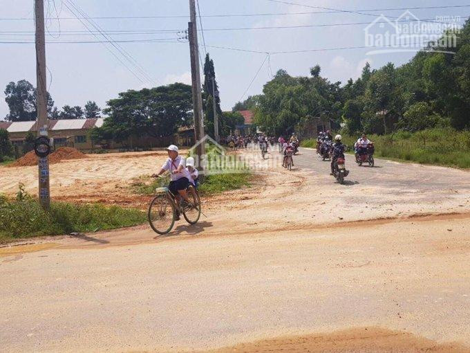 Chính Chủ Bán Nhanh đất Mặt Tiền Gần Khu Kinh Tế Cửa Khẩu Mộc Bài Tây Ninh, Sổ Hồng Sẵn, Chuyển Nhượng Ngay 4