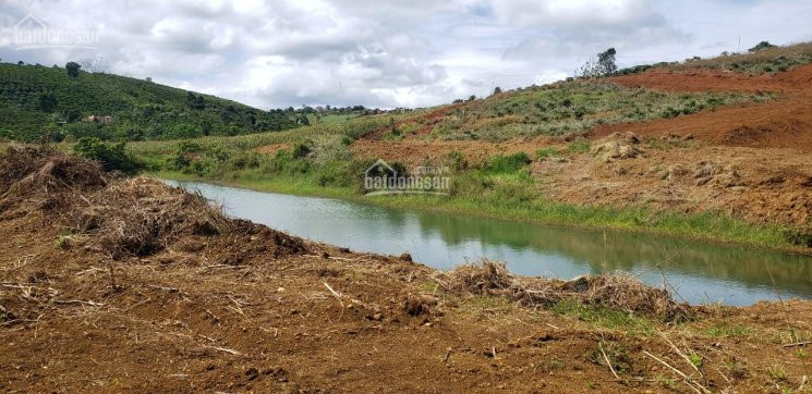 Chính Chủ Bán Nhanh đất Nền đầu Tư Forest Hill Ngay Trung Tâm đambri Giá Siêu Rẻ Chỉ 4 Tr/m2 Pháp Lý An Toàn 3