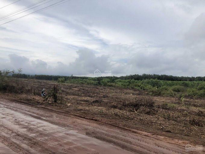 Chính Chủ Bán Nhanh đất Xã Xuân Hoà, Huyện Xuân Lộc, Tỉnh đồng Nai Dt: 26ha, 1000m Mặt Tiền, điện 3pha, Cách 1a 1km 6