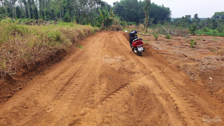 Chính Chủ Bán Nhanh Gấp đất Xã Láng Lớn 1800m2 32m Mặt Tiền đường đang Làm 6m Khu Dân Cư Giá 1ty350 7