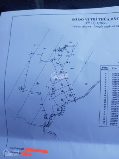 Chính Chủ Bán Nhanh Lô đất 17000 M2 Tại đất đỏ Vũng Tàu Chỉ 8,5 Tỷ Có 300 Thổ Cư 4