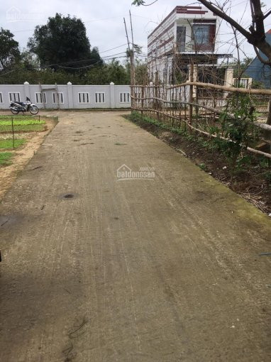 Chính Chủ Bán Nhanh Lô đất Bê Tông điện Nam Bắc Oto Thông Sau Lưng Trường Phan Ngọc Nhân Giá 620tr 1
