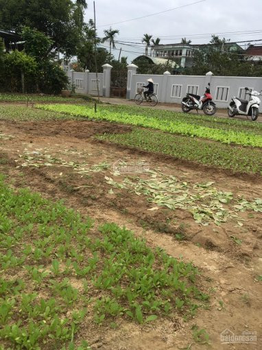 Chính Chủ Bán Nhanh Lô đất Bê Tông điện Nam Bắc Oto Thông Sau Lưng Trường Phan Ngọc Nhân Giá 620tr 3