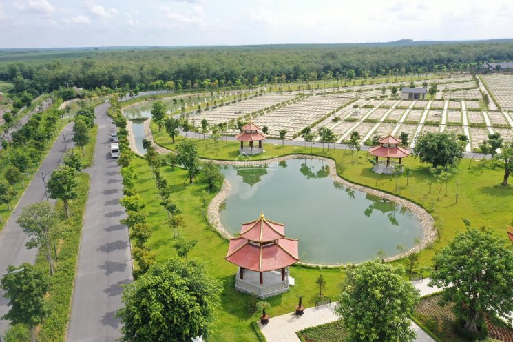 Chính Chủ Bán Nhanh Lô Mộ Gia Tộc 100m2, Lô Mặt Tiền 6m, Giá Tốt, Hoa Viên Sinh Thái Sala Garden, 0968245048 5