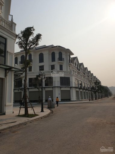 Chính Chủ Bán Nhanh Shophouse Sao Biển Căn Xẻ Khe View Vườn Hoa Vinhomes Ocean Park - 945m2 - 85 Tỷ Bao Phí 1