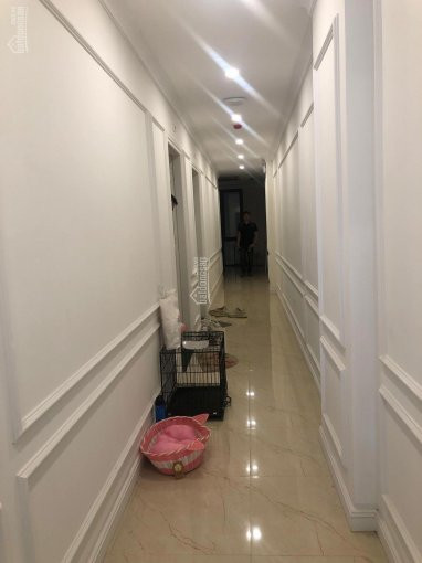 Chính Chủ Bán Nhanh Toà Nhà Hồ Tùng Mậu 170m2, 10 Tầng Lô Góc Mt 10m 45 Căn Hộ Cho Thuê 250tr/tháng Chỉ Dưới 30 Tỷ 10