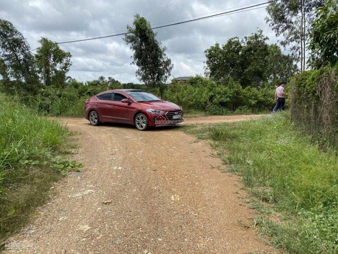 Chính Chủ Bán Nhanh Vườn Xoài đang Trổ Bông,575tr/1 Sào 1 Cách Quốc Lộ 15km 5