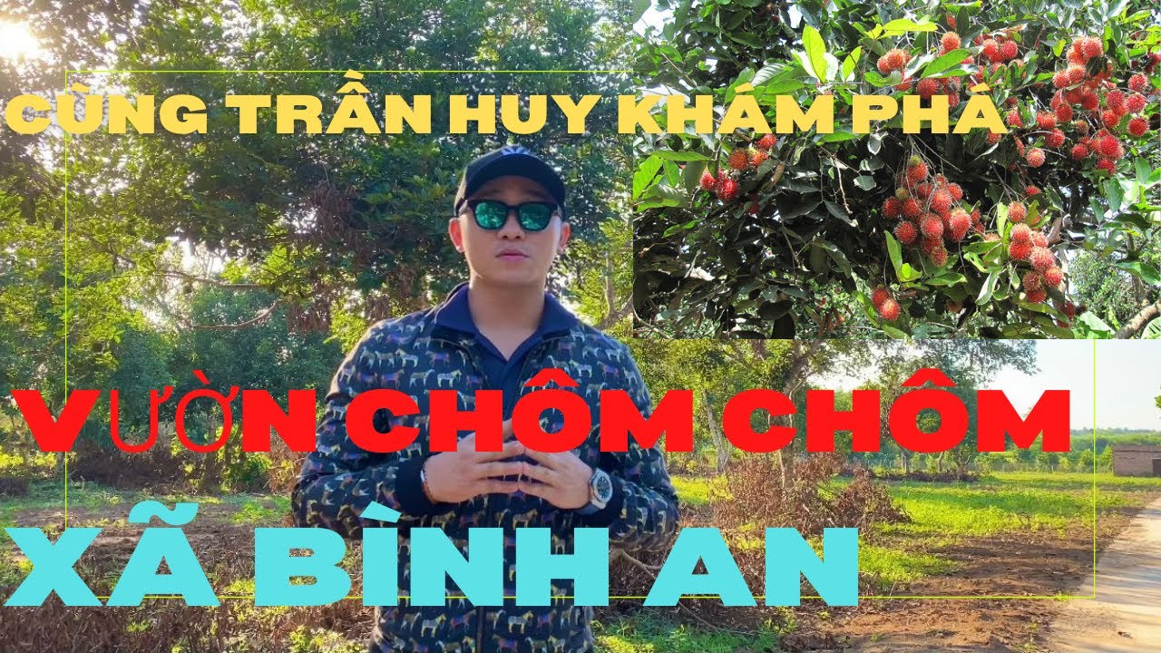 Chính Chủ Bán Vườn Chôm Chôm 2 Mặt Tiền đường Có 300m2 Thổ Cư, Xã Bình An, Long Thành, Giá Cực Rẻ 1