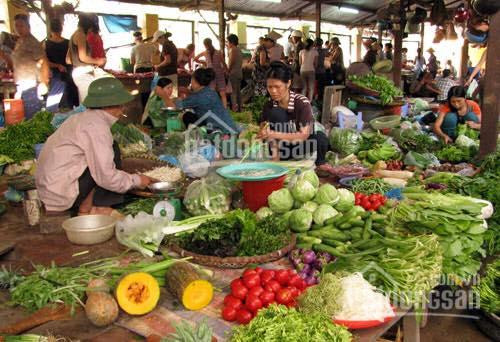 Chính Chủ Cần Bán đất Mặt Tiền đường Suối Cái, P Linh Xuân, Thủ đức, Gần Chợ Linh Xuân, Shr ,giá 70m2/1 Tỷ 4 4