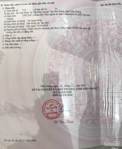 Chính Chủ Cần Bán Lô đất đang Trồng Dừa Xiêm 1400m2 ở ấp Tân Ninh, H Tân Phú đông, Tiền Giang 3
