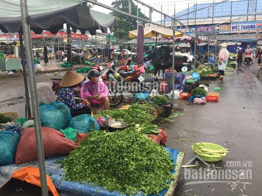 Chính Chủ Cần Mua Chung Cư Thành Phố Cho 3 Con ăn Học Sang Rẻ Lại 215m2 Có Tc, Ngay đường 15m Dân Cư đông 3