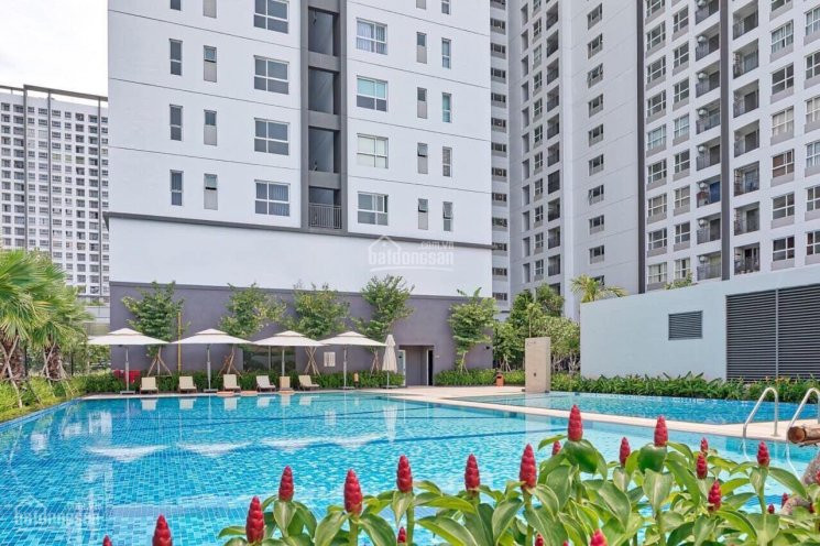 Chính Chủ Cho Thuê Nhanh Căn Hộ Cc Sunrise Riverside 3pn Full Nội Thất, Giá Chỉ 17tr/tháng 7