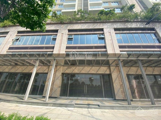 Chính Chủ Cho Thuê Nhanh Shophouse Sarina Kđt Sala, Dt: 8,2x9,6m, Dtsd 232m2, Giá: 45tr/tháng 2