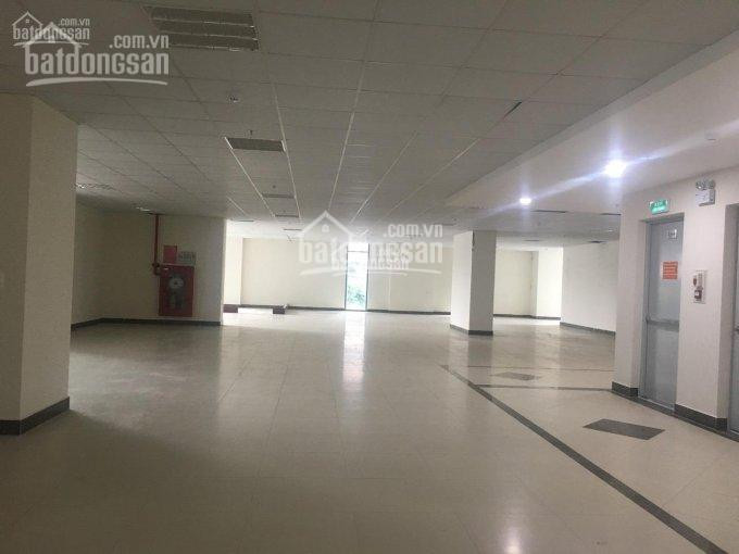 Chính Chủ Cho Thuê Nhanh Văn Phòng Tnr Goldseason, Nguyễn Tuân Dt 50m2 - 1000m2, Giá ưu đãi 2