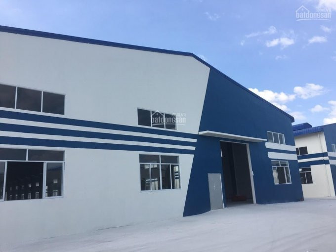 Chính Chủ Cho Thuê Nhanh Xưởng Cây Xăng Kim Hằng, Kv 12000m2, Nhà Xưởng 8000m2, Giá 46 Ngàn/m2 Lh 0931268002 1