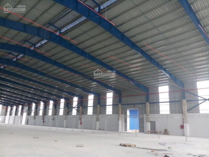 Chính Chủ Cho Thuê Nhanh Xưởng Cây Xăng Kim Hằng, Kv 12000m2, Nhà Xưởng 8000m2, Giá 46 Ngàn/m2 Lh 0931268002 2