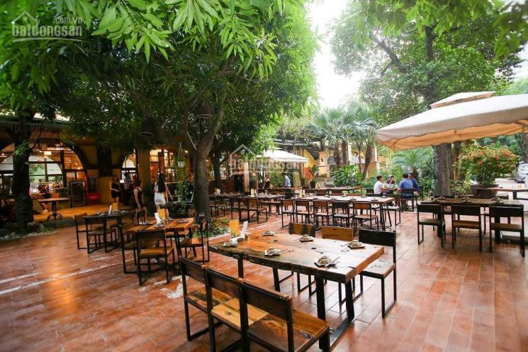 Cho Thuê Nhà 1000m2 Mặt Tiền Dương Quảng Hàm, Gần Chợ - Lh 0909719895 1