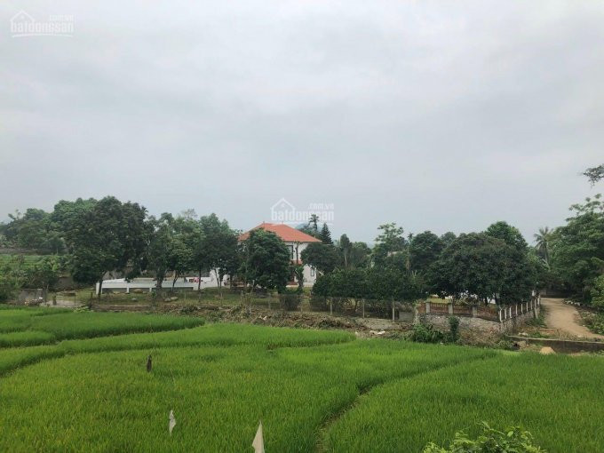 Cơ Hội Sở Hữu Ngay Khuôn Viên Biệt Thự Nhà Vườn Siêu đẹp Tại Lương Sơn, Hòa Bình Diện Tích 2184m2 7