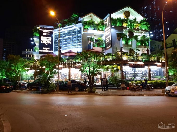 Cực Hiếm Shophouse Lô Góc Mặt Phố Nguyễn Chánh, Cầu Giấy 192m2, Mặt Tiền 16m Vị Trí độc Tôn 1