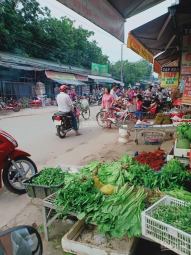 Cuối Năm Cần Tiền Bán Nhanh Căn Nhà Sát Kdl đại Nam Chỉ 900tr Cách Trường Học Ubnd Tân định Chỉ 5p 1