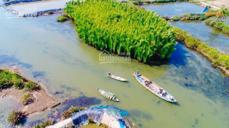 đất Biển Quảng Ngãi - Cơ Hội đầu Tư Không Thể Bỏ Qua 8