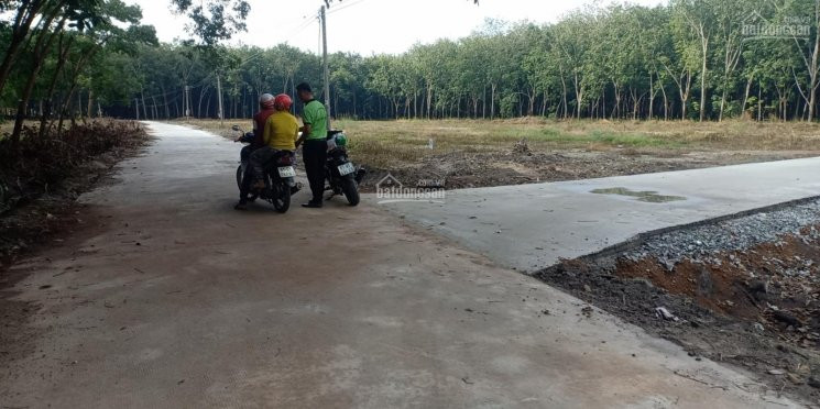 đất Chơn Thành Bình Phước đất Chính Chủ 5x42m 100m2tc Giá 475tr, 0342454687 Gặp Tiên Xem Sổ Xem đất 2