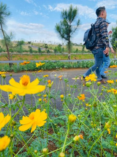 đất Nền Bảo Lộc, View Siêu đẹp 2