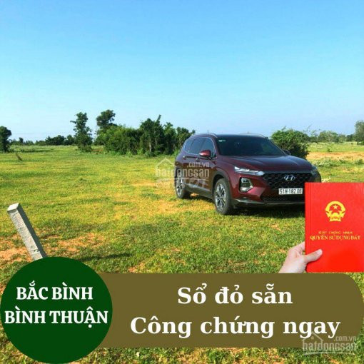 đất Nông Nghiệp Bắc Bình  Bình Thuận Chỉ Từ 60 Nghìn/m2 1