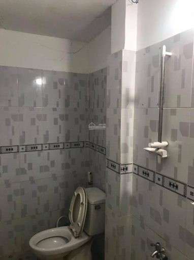 đất Quang Trung Gò Vấp Chỉ 43 Triệu/m2, Chủ Bán Gấp 5